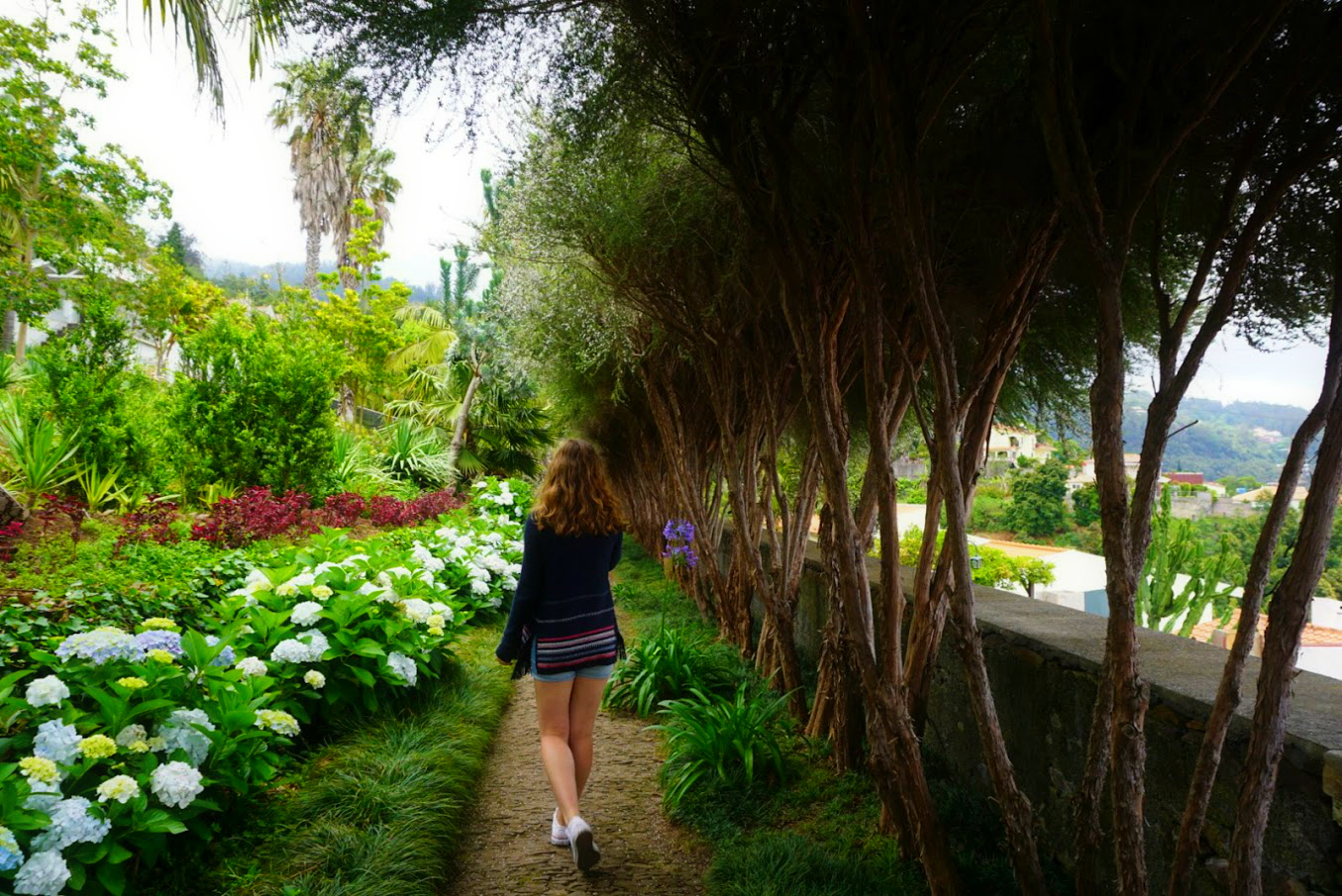 Cory Botanic Garden Funchal Madeira Trees