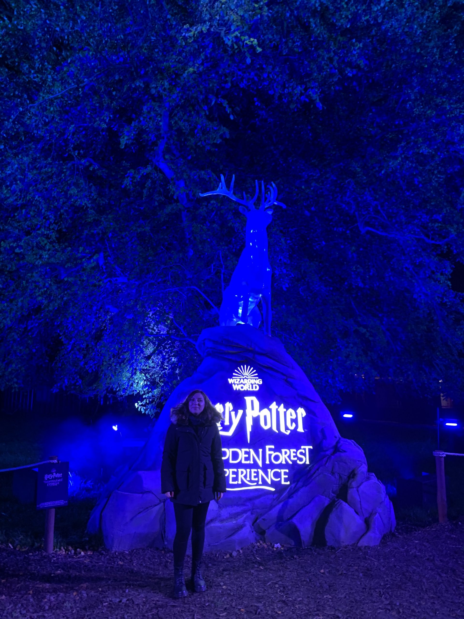 Cory from You Could Travel at the Harry Potter Forbidden Forest Experience