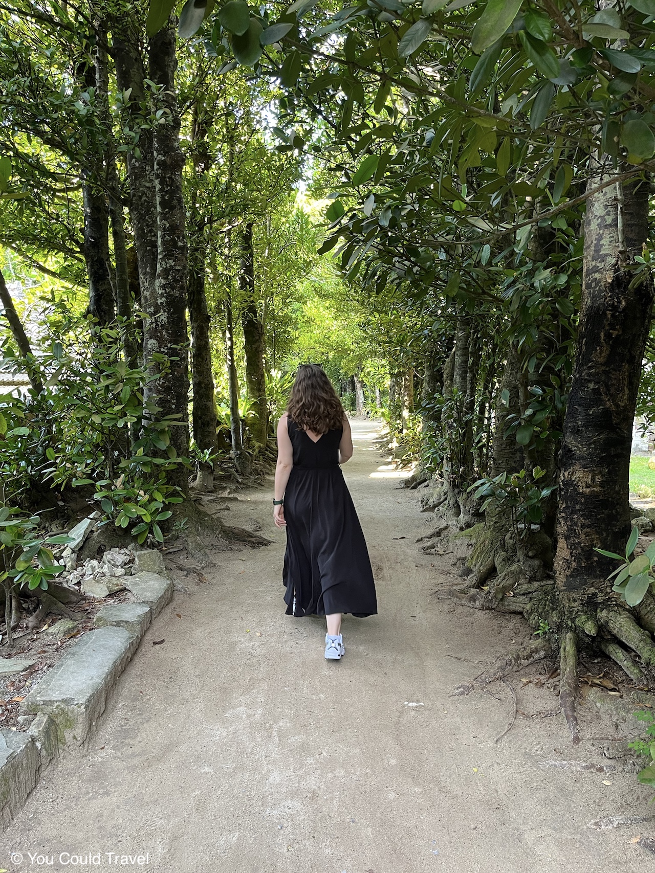 Cory from You Could Travel exploring the Bise Fukugi Tree Road in Okinawa