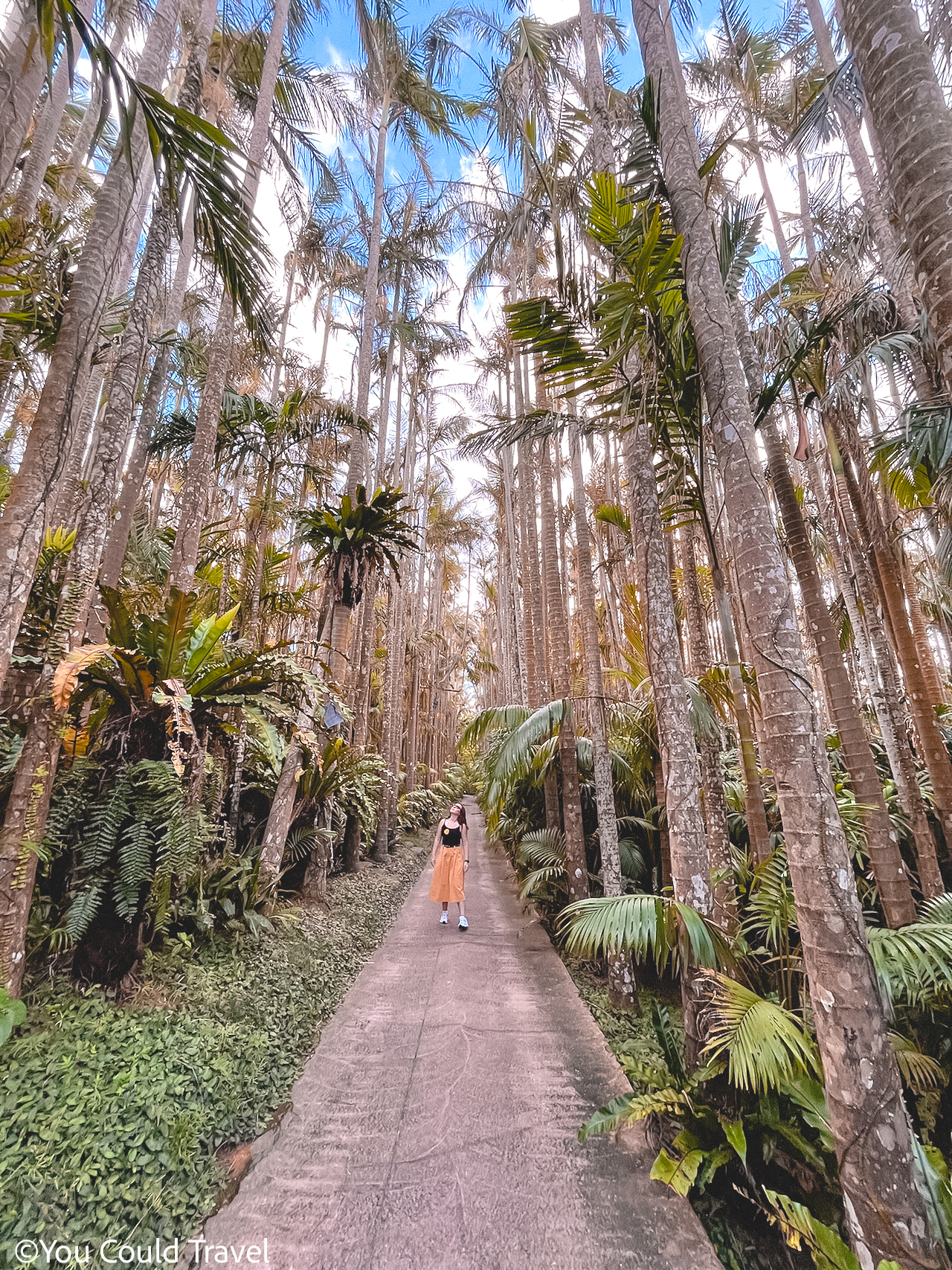 Cory from You Could Travel exploring the Yusura Palm Avenue