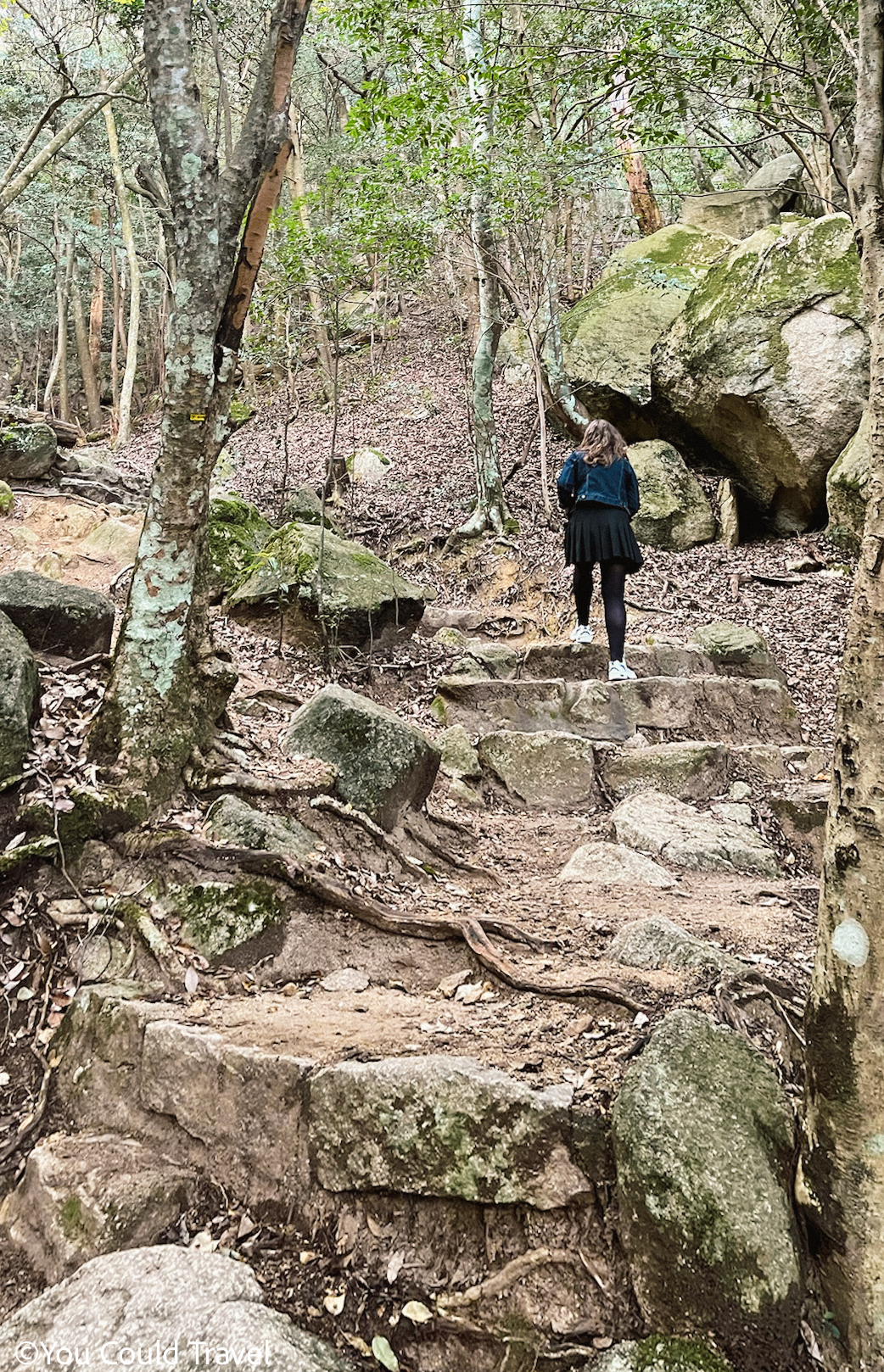 Cory in a skirt climbing mount Misen's many steps