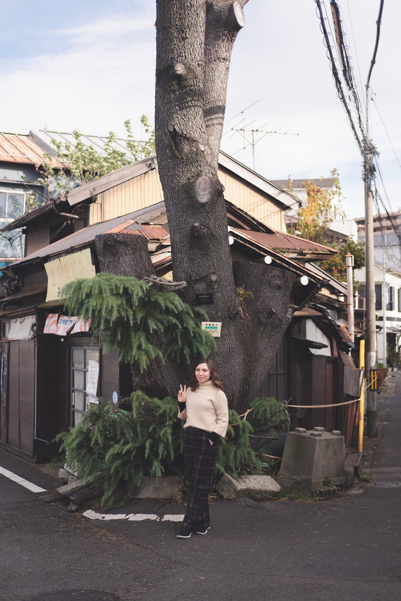 Cory in front of the Himalayan cedar tree in Yanaka Cory in front of the Himalayan cedar tree in Yanaka