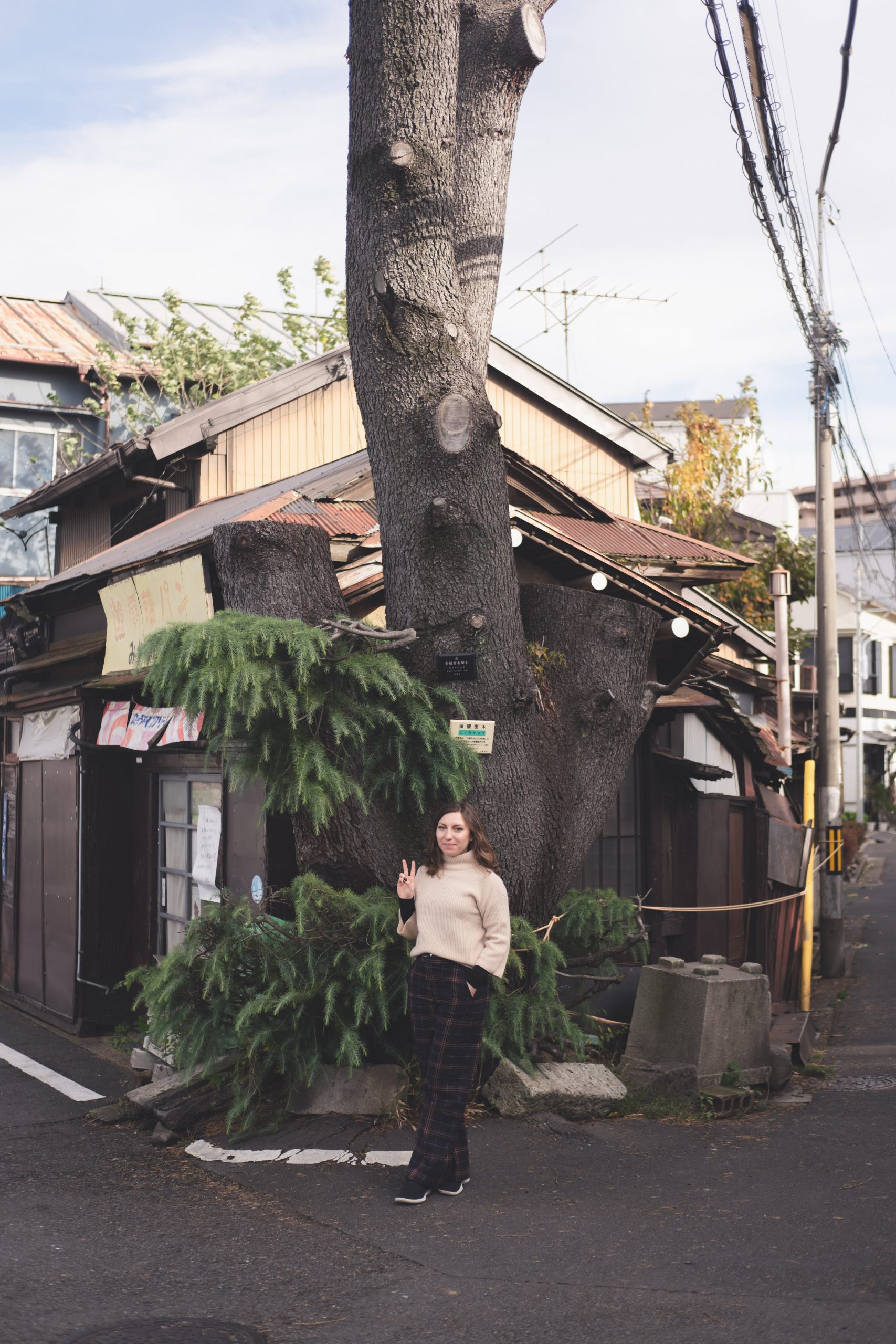 Cory in front of the Himalayan cedar tree in Yanaka