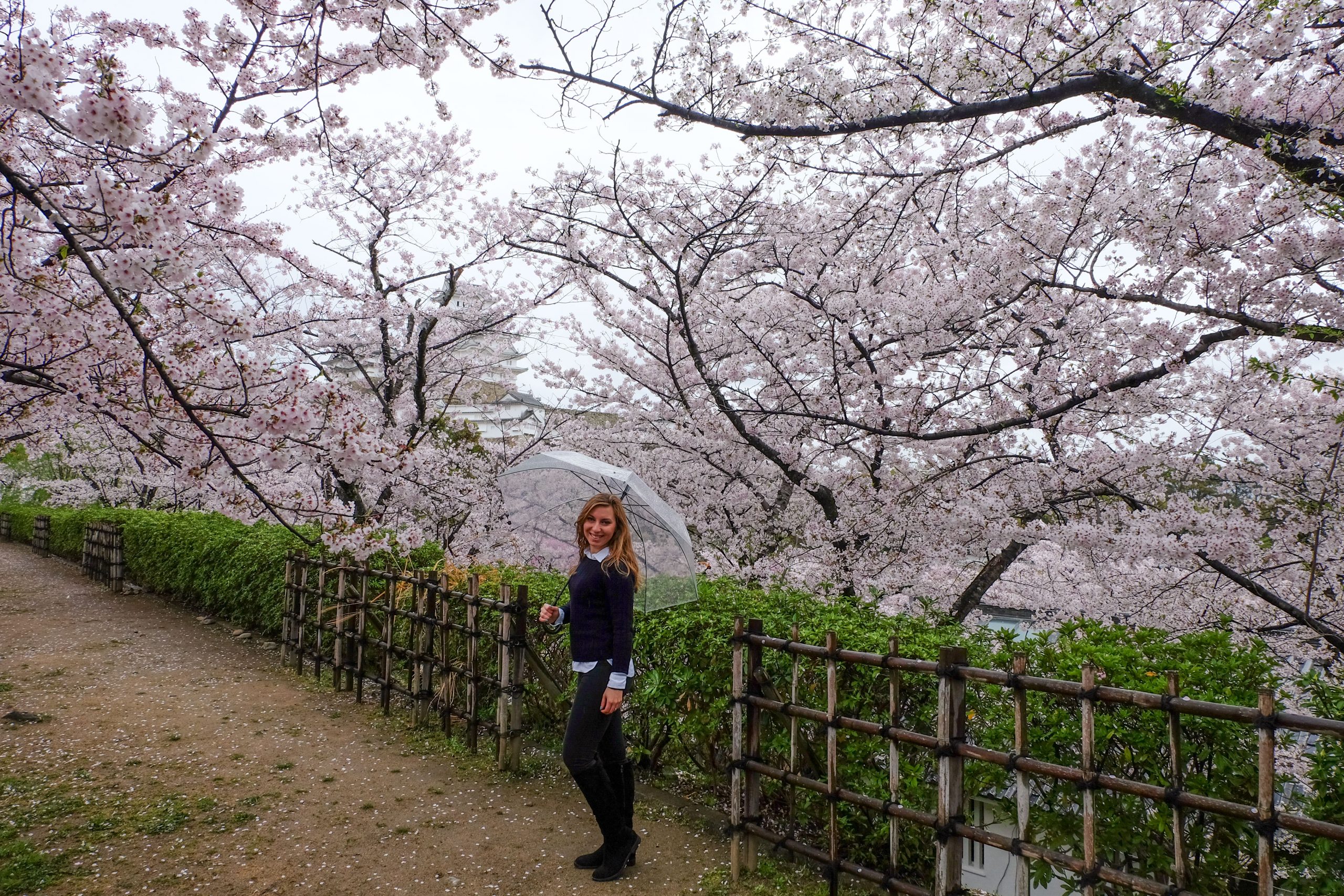 Cory in Himeji on a rainy day