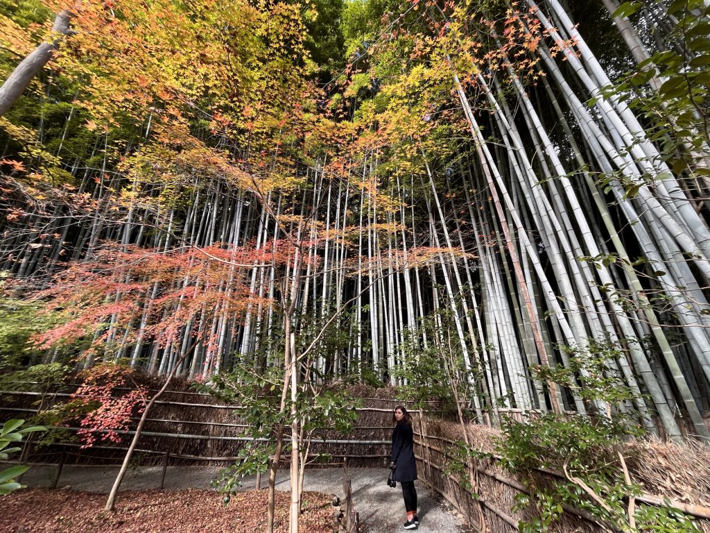 Cory visiting the Gio-ji temple with its beautiful bamboo forest