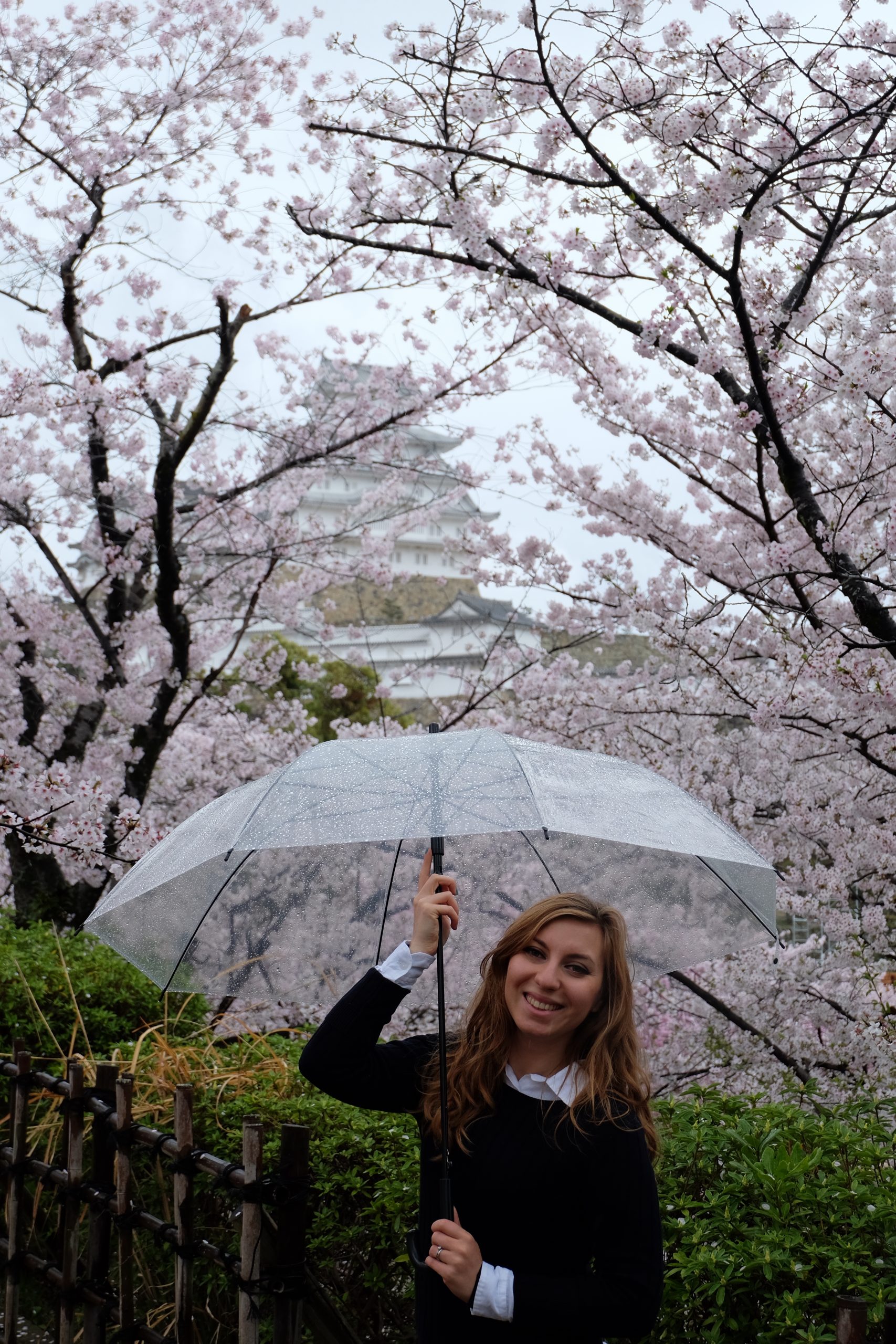 Cory visiting himeji in spring on a rainy day