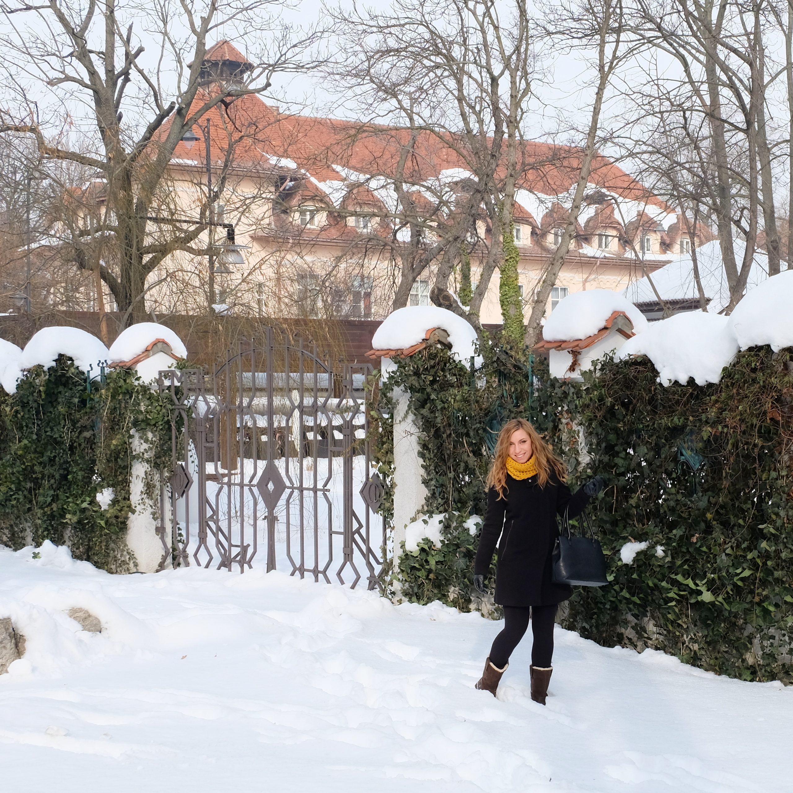 Cory You Could Travel in Bucharest in January in Calea Victoriei