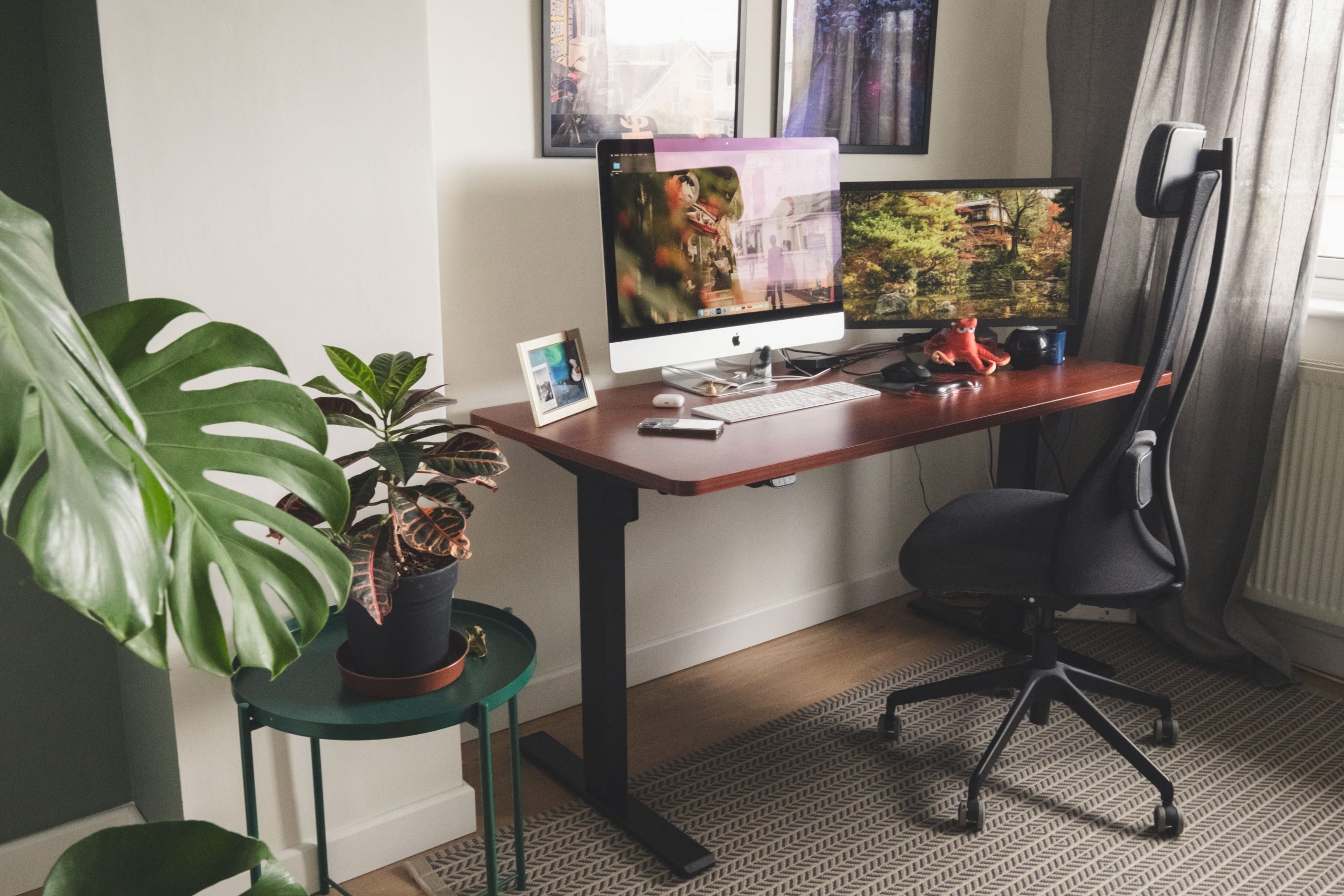 Cory's flexispot standing desk