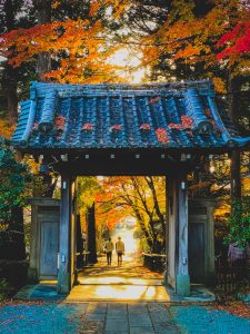 A couple exploring a shrine in Tokyo
