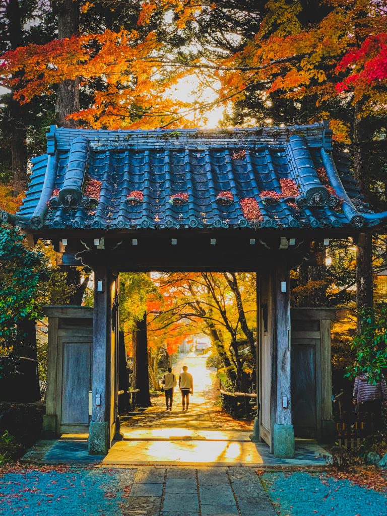A couple exploring a shrine in Tokyo