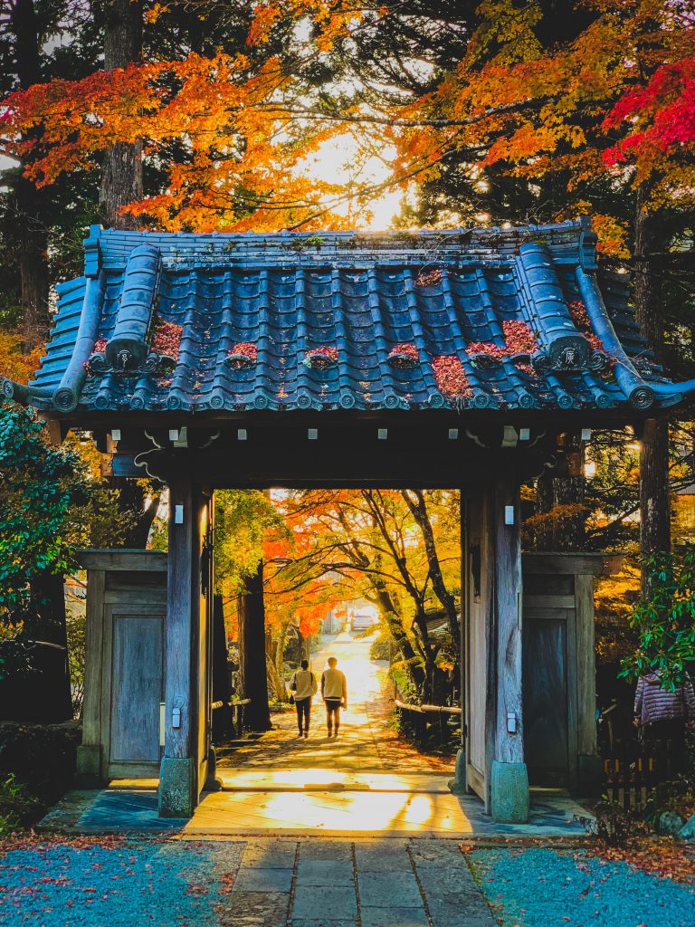 A couple exploring a shrine in Tokyo