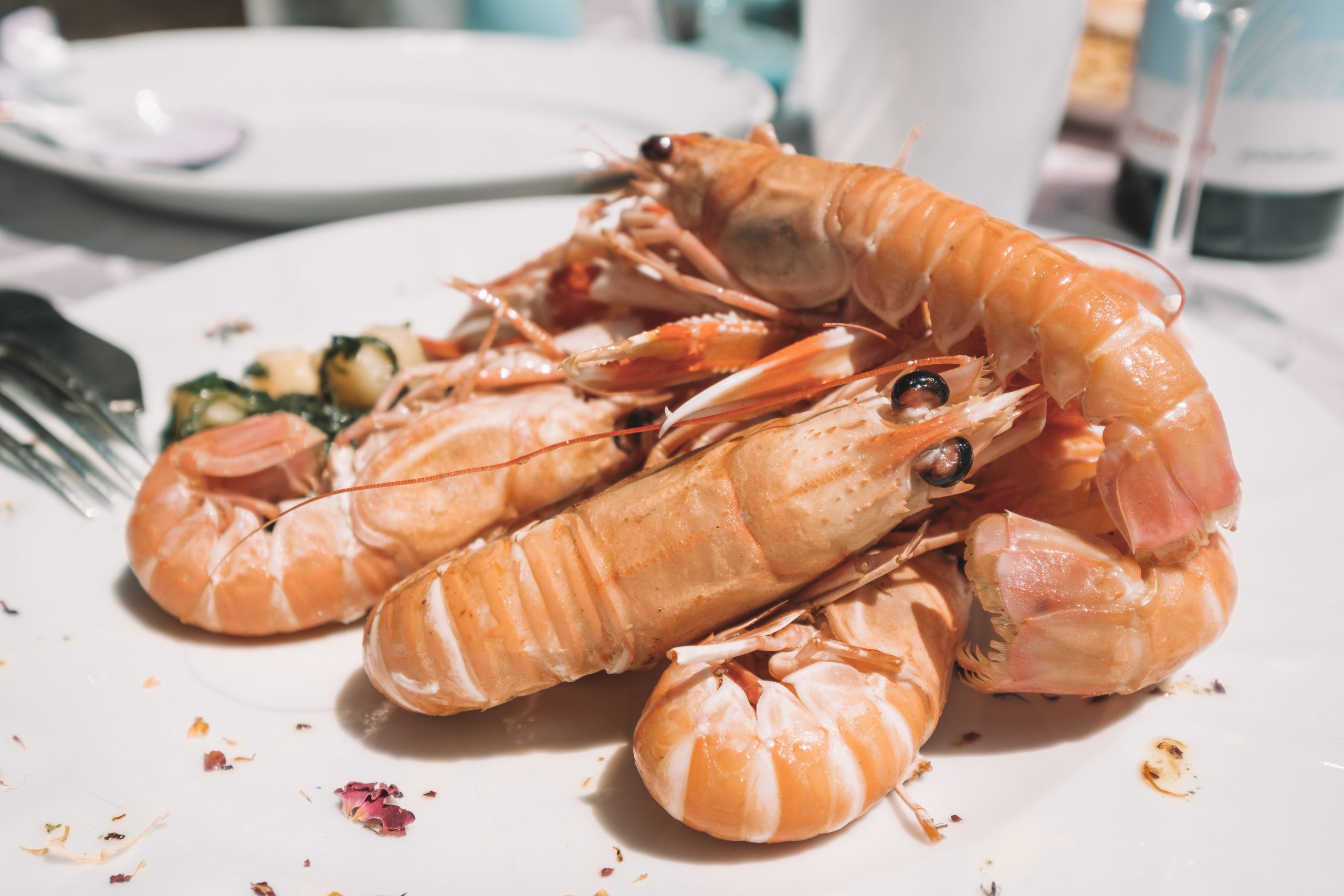 Croatian Food is delicious Croatian Food is delicious