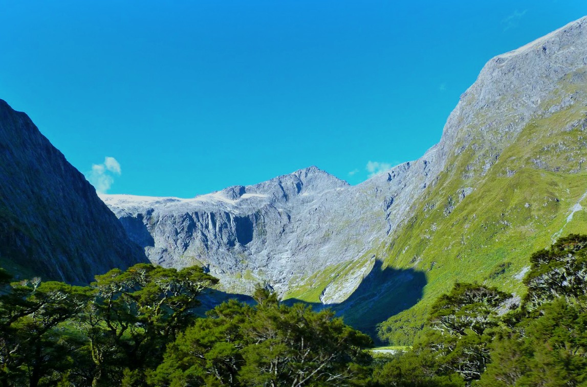 Drive Landscape Milford Sound