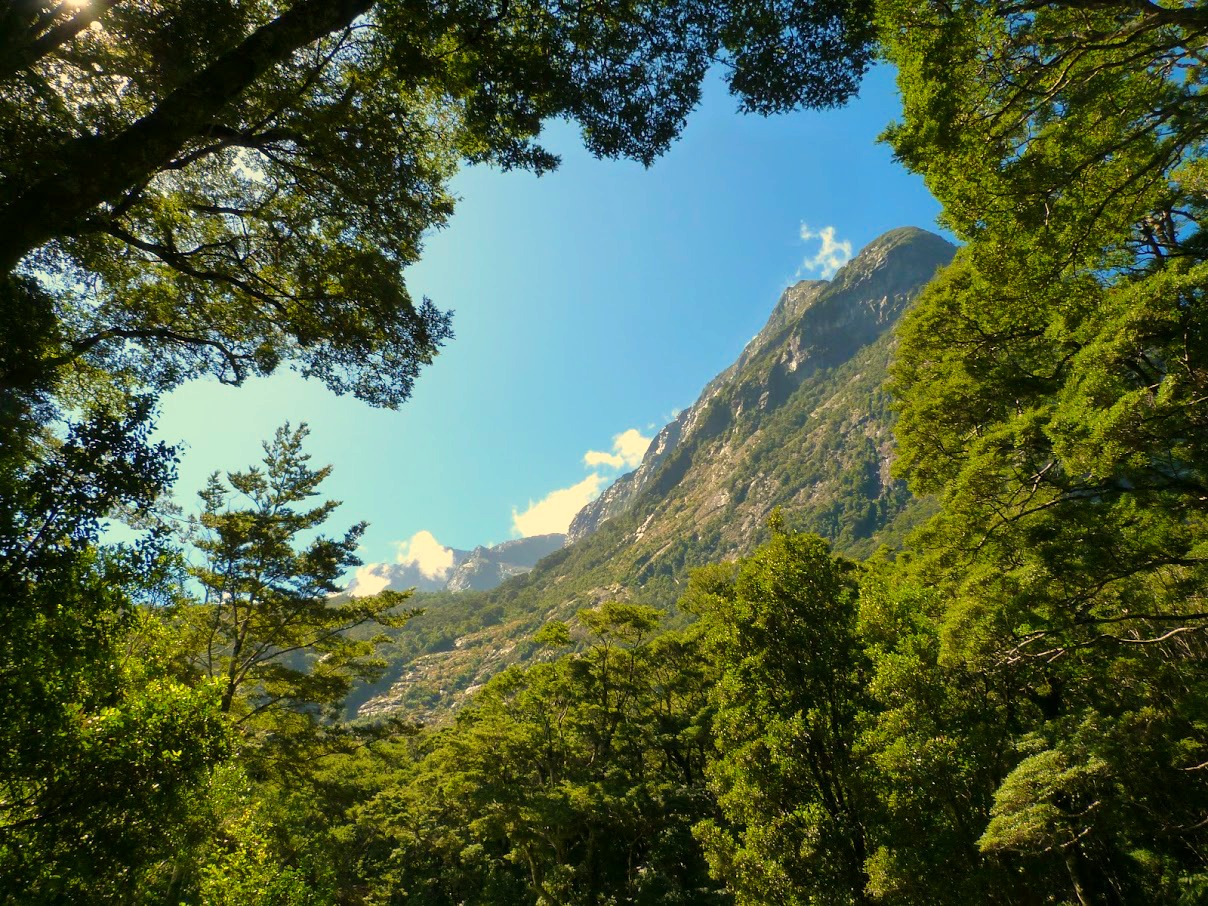 Drive Milford Sound