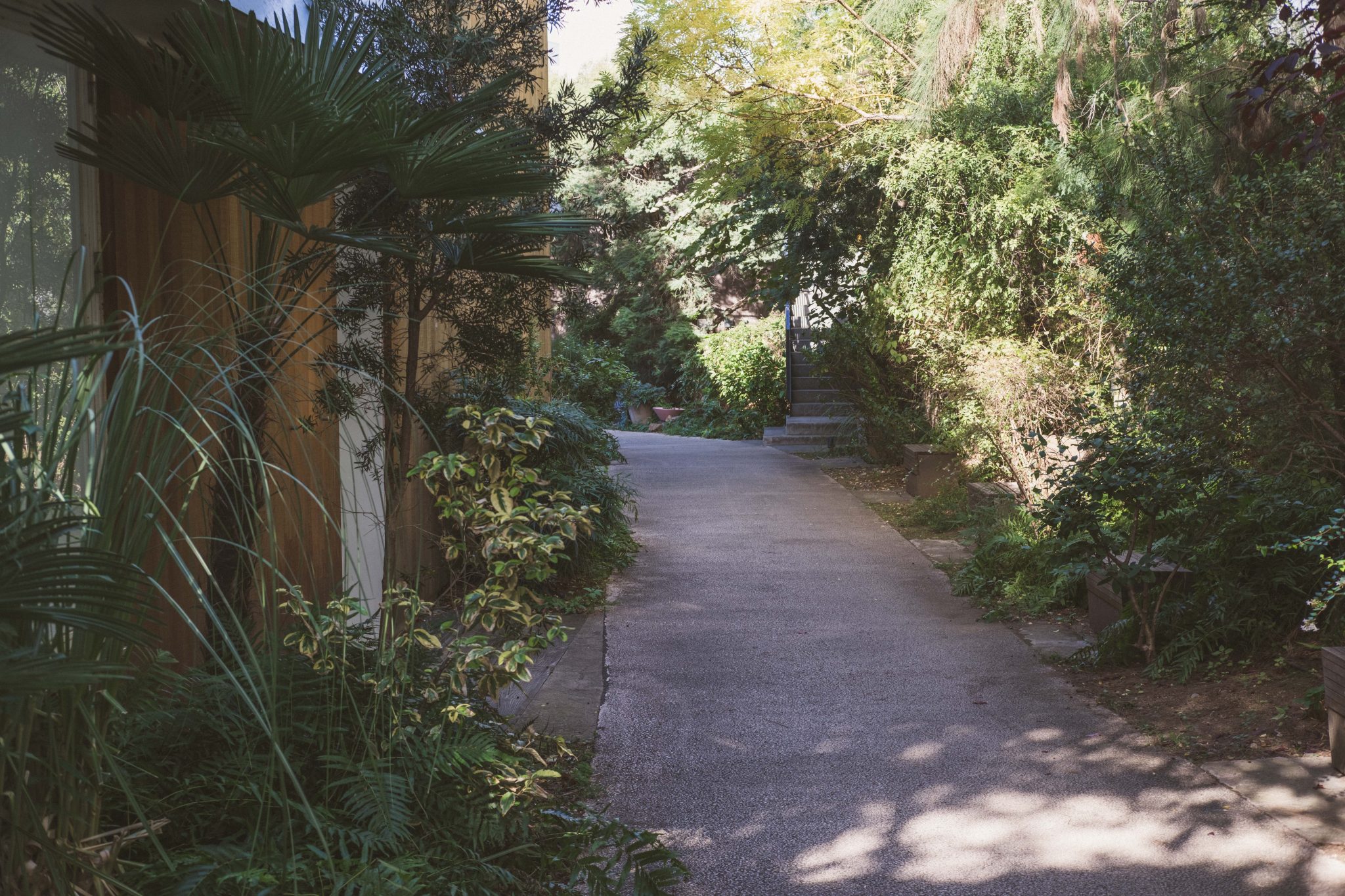 Daikanyama log road