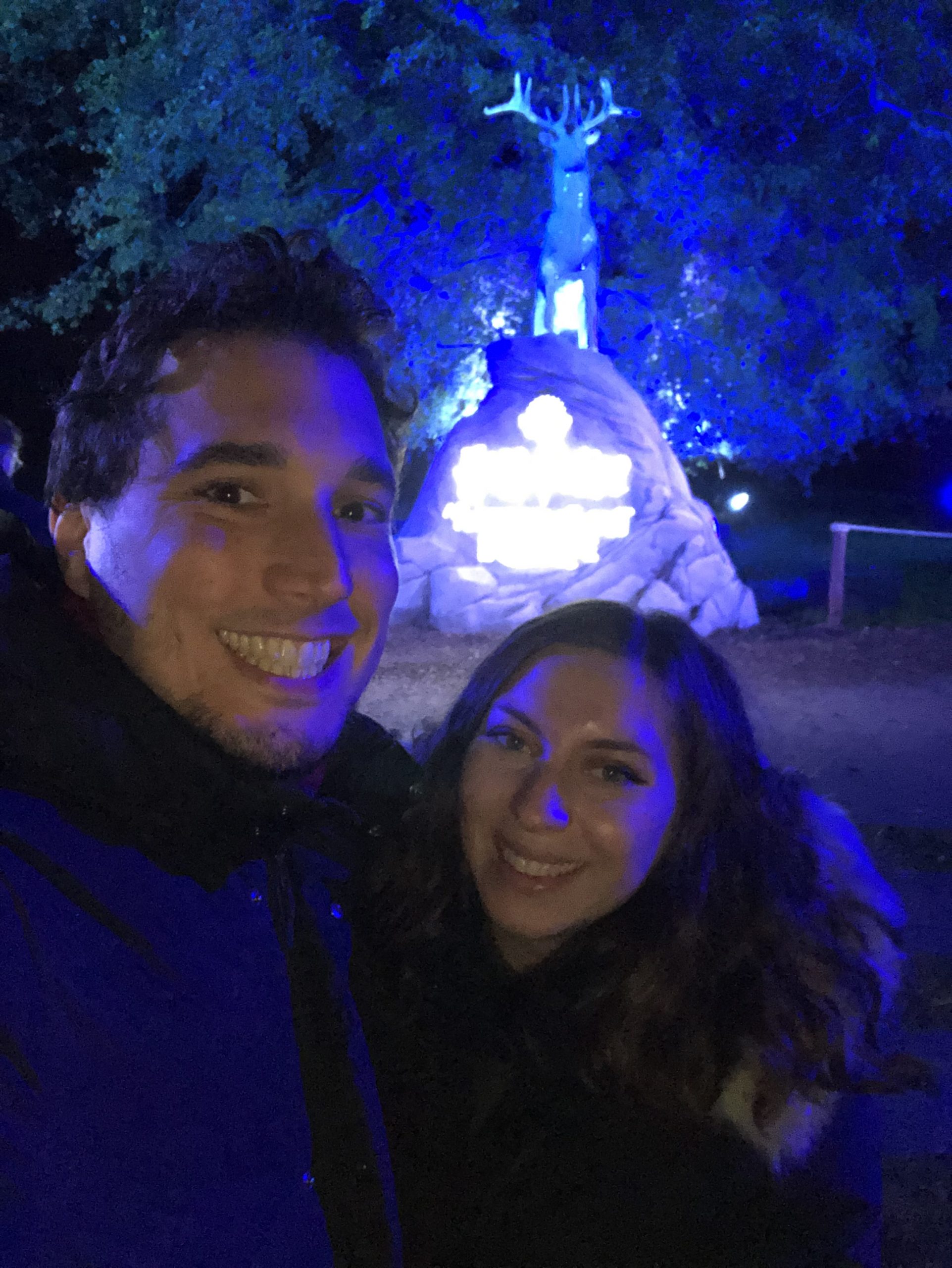 Date night at the Harry Potter forbidden forest experience