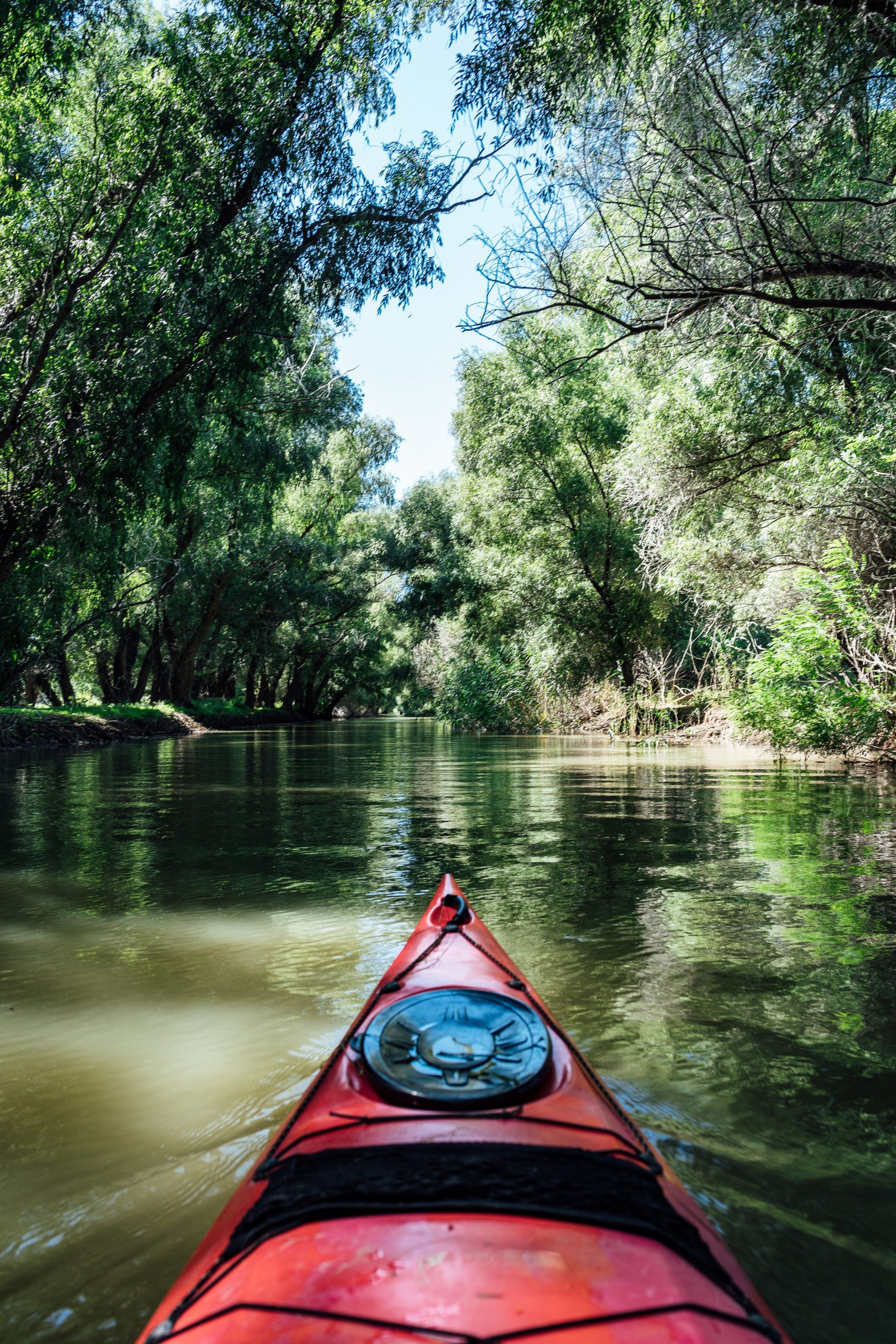 Day trip to Danube Delta from Tulcea Romania