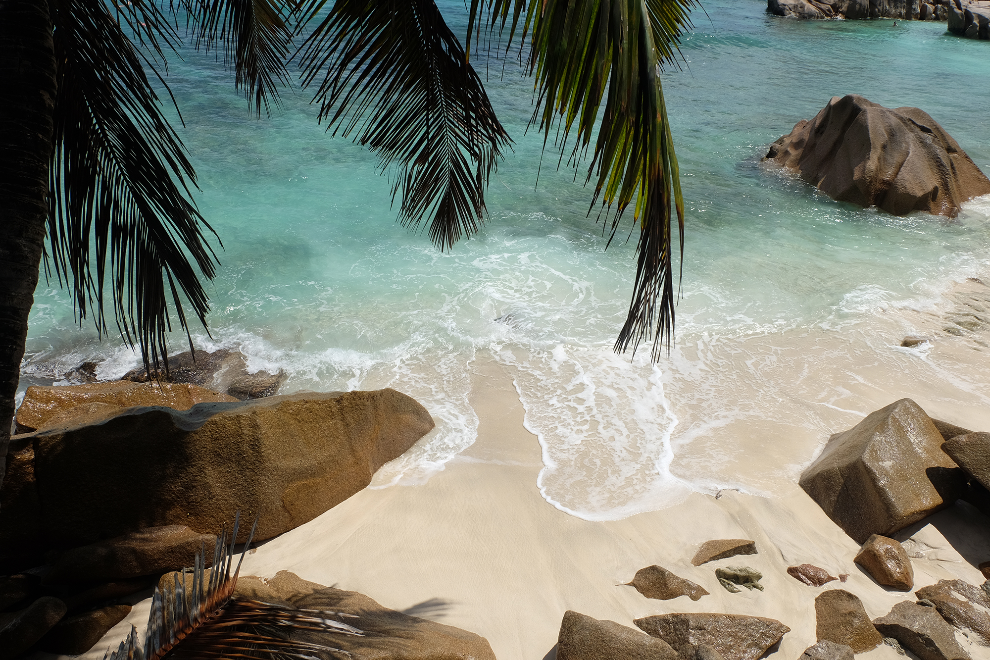 Destination Seychelles