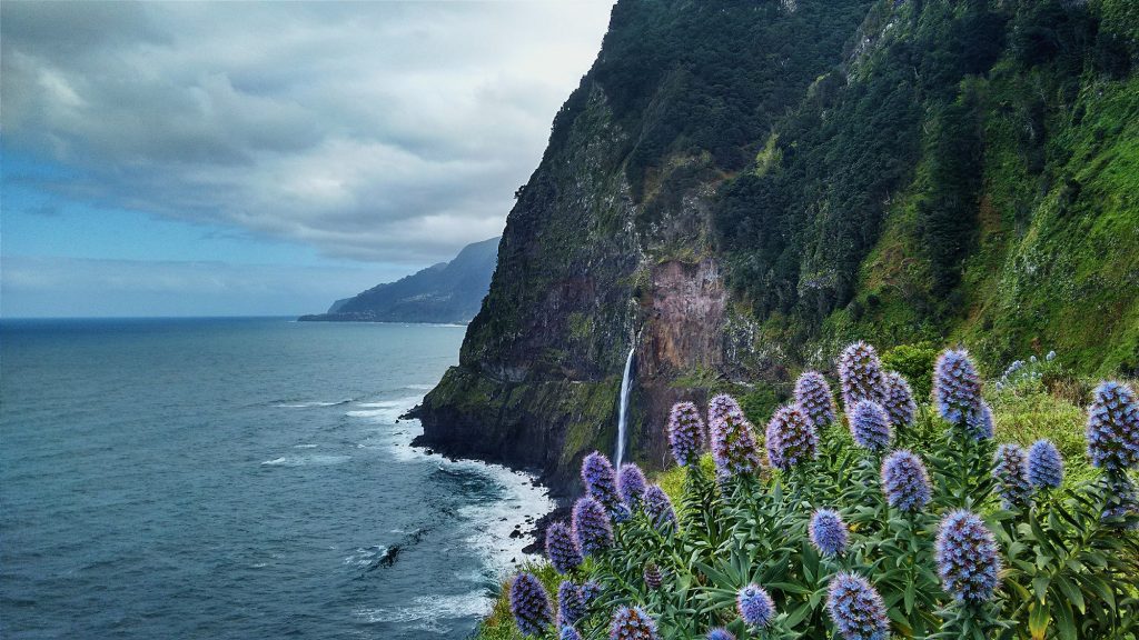 Destination Madeira