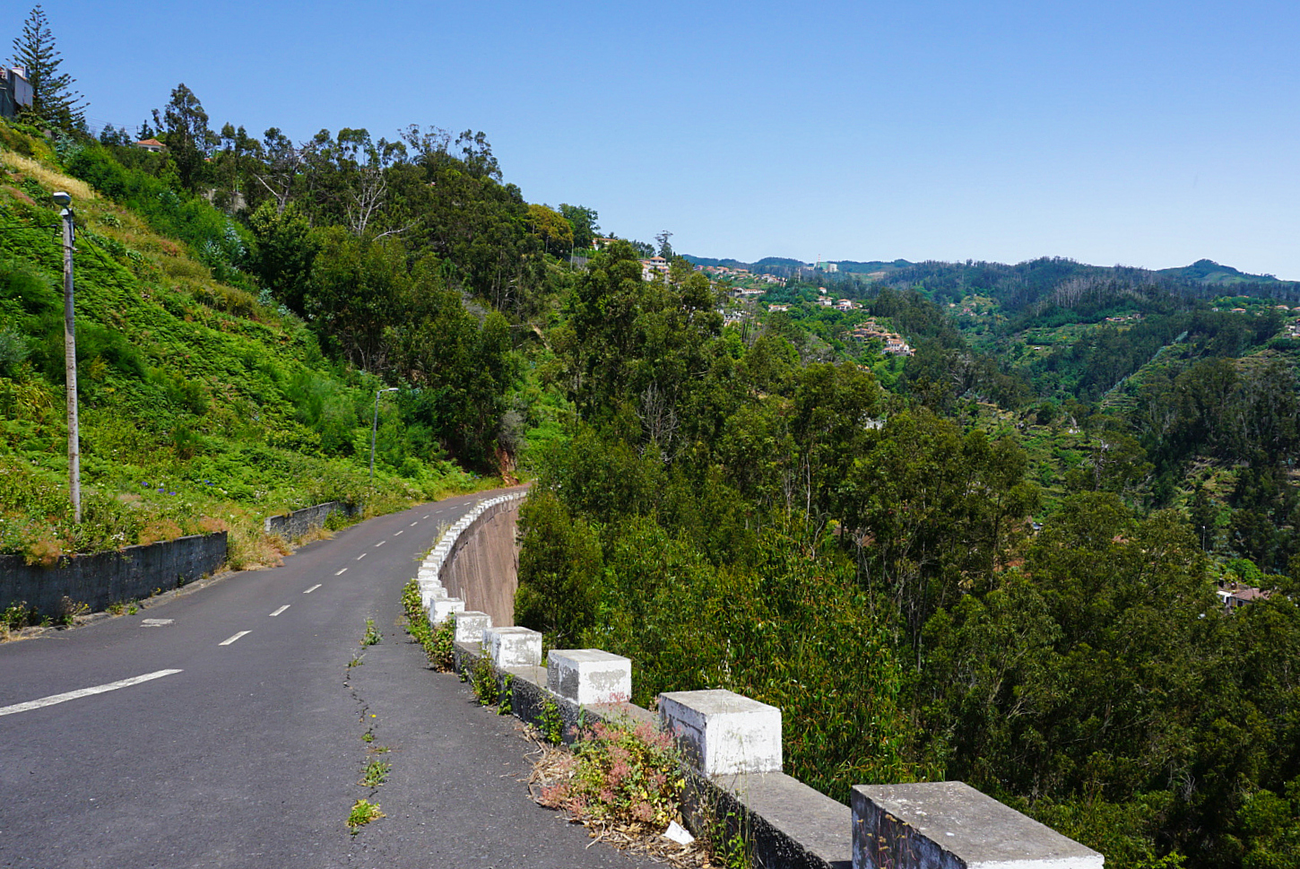 Drive in Madeira Empty Road