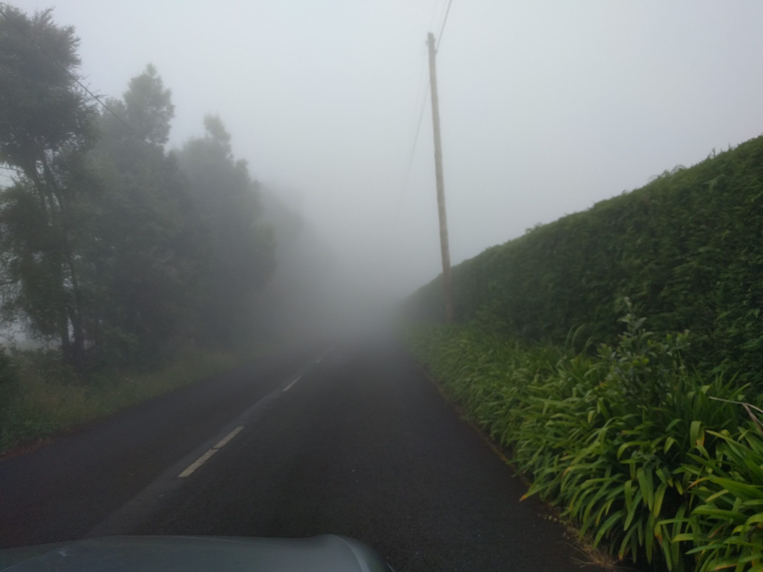 Drive in Madeira Road Towards Pico Ruivo