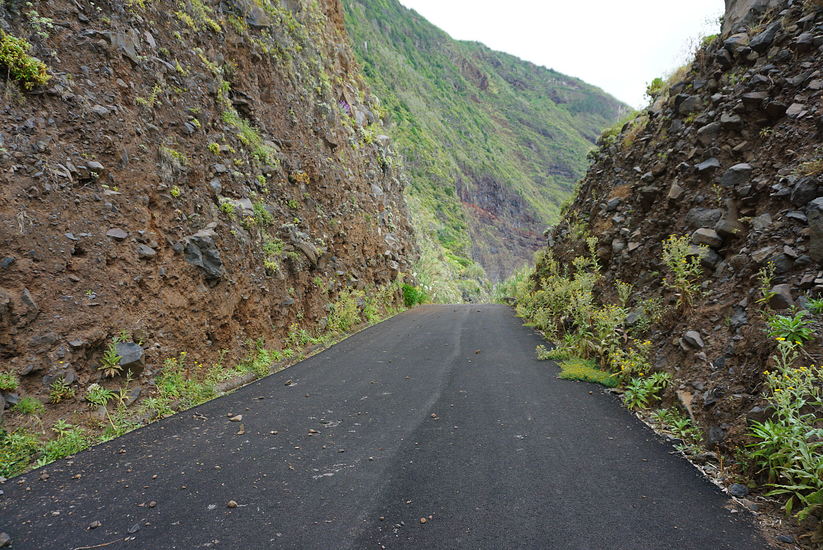 Drive in Madeira Rocks Falling