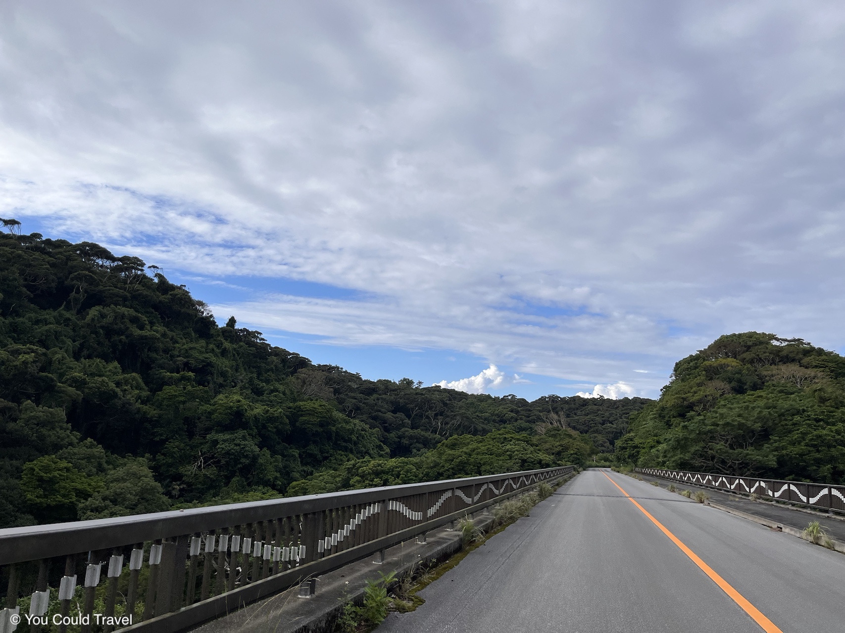 Driving in Okinawa surrounded by jungle