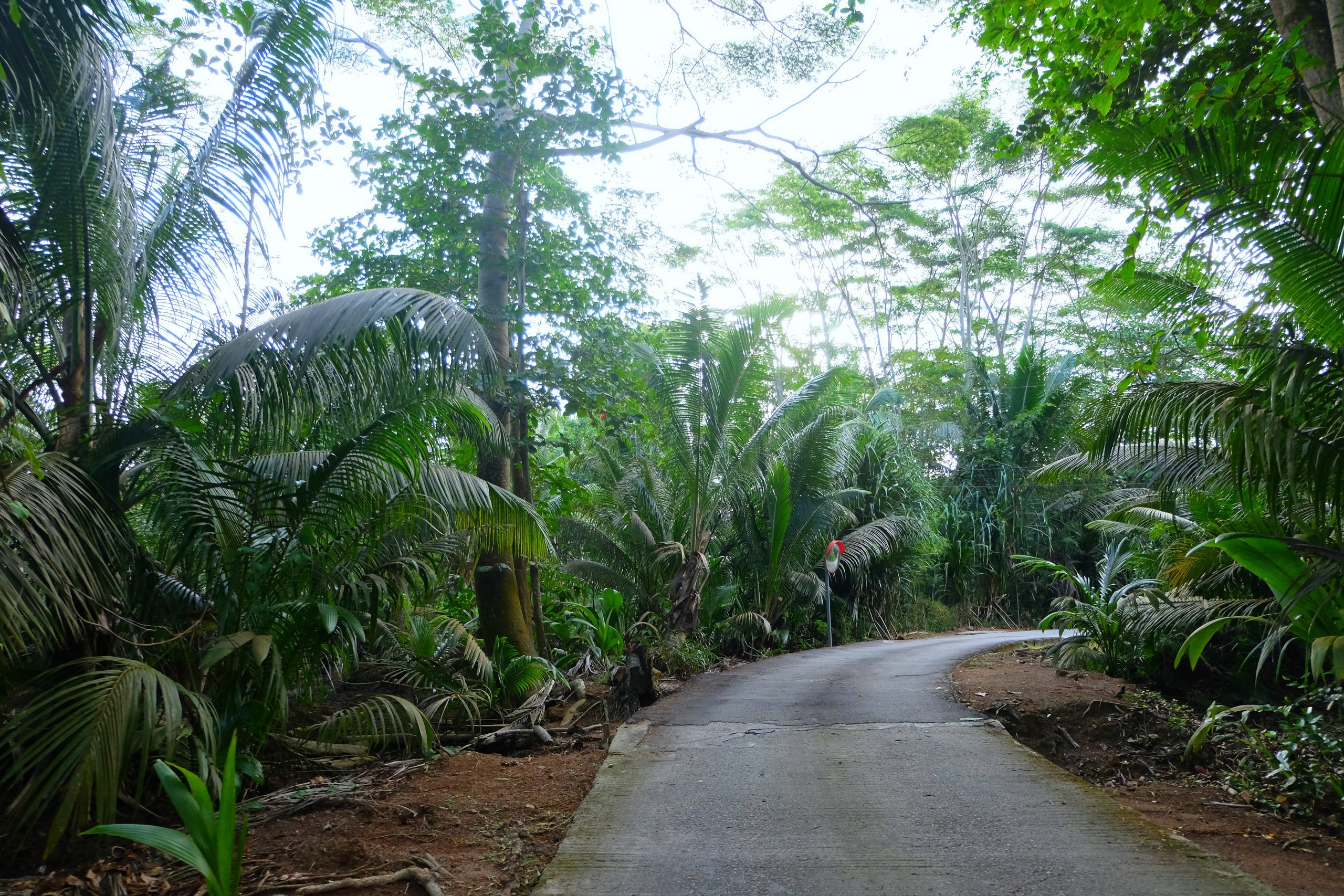 Driving in Praslin Seychelles