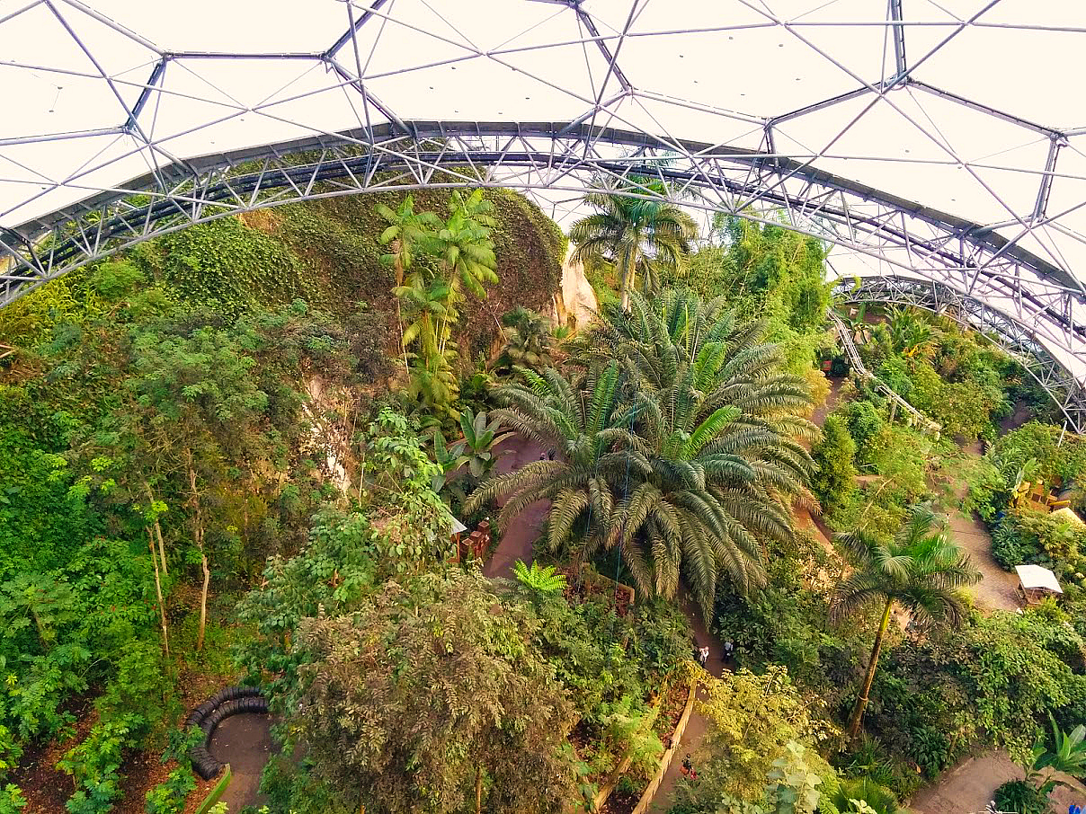 Eden Project Biome Canopy Walkway