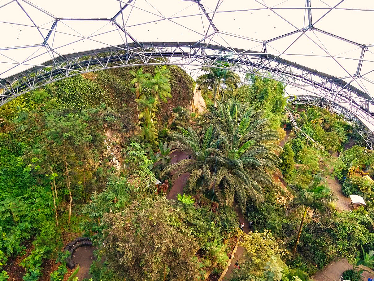 Eden Project Biome Canopy Walkway Eden Project Biome Canopy Walkway