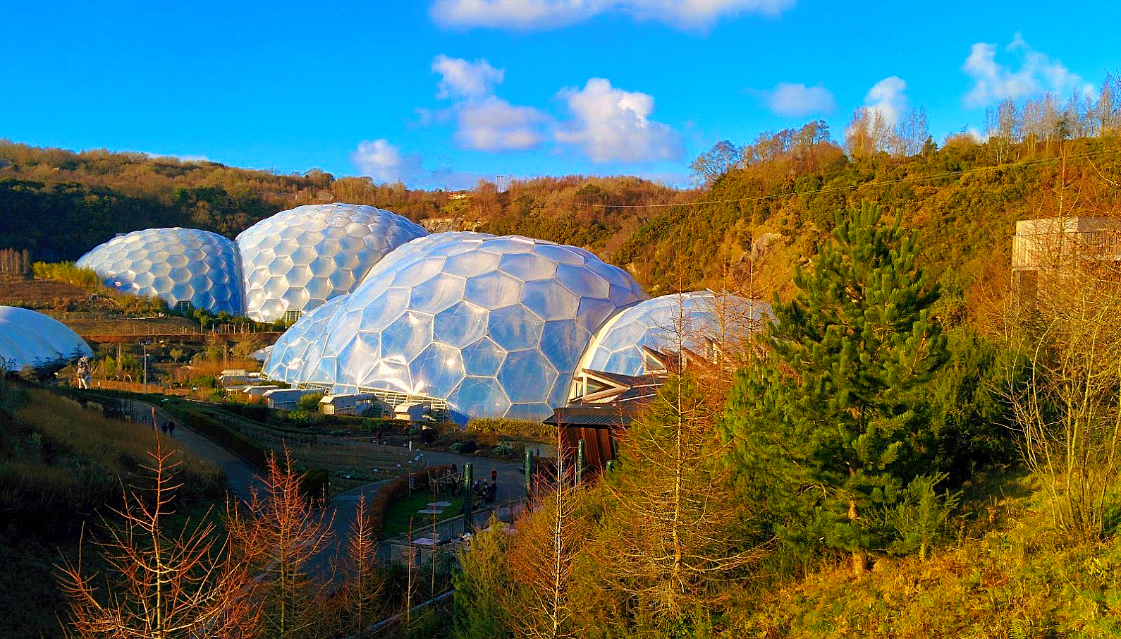 Eden Project Biomes Winter Vegetation Eden Project Biomes Winter Vegetation
