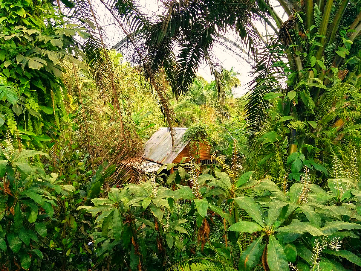 Eden Project Rainforest Biome Malaysian House