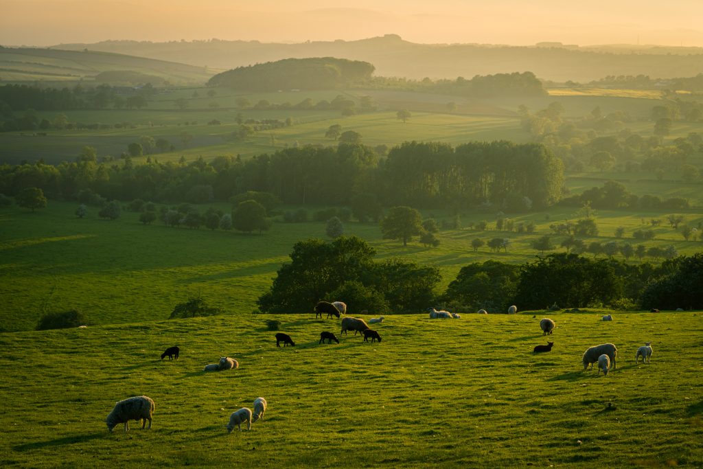 England travel guide stunning English countryside