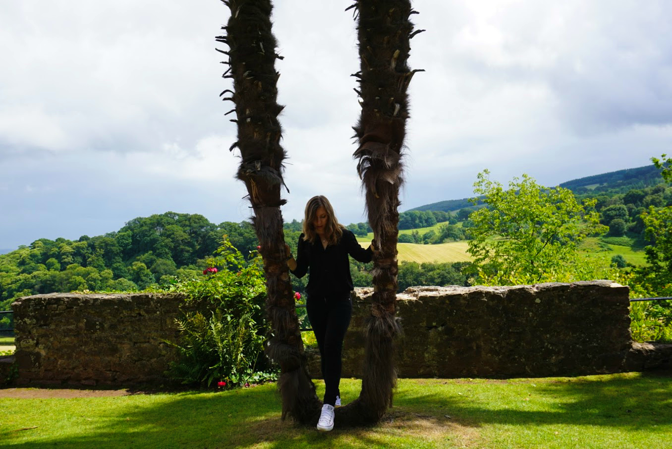 English Castle Dunster Tropical Palms View Cory