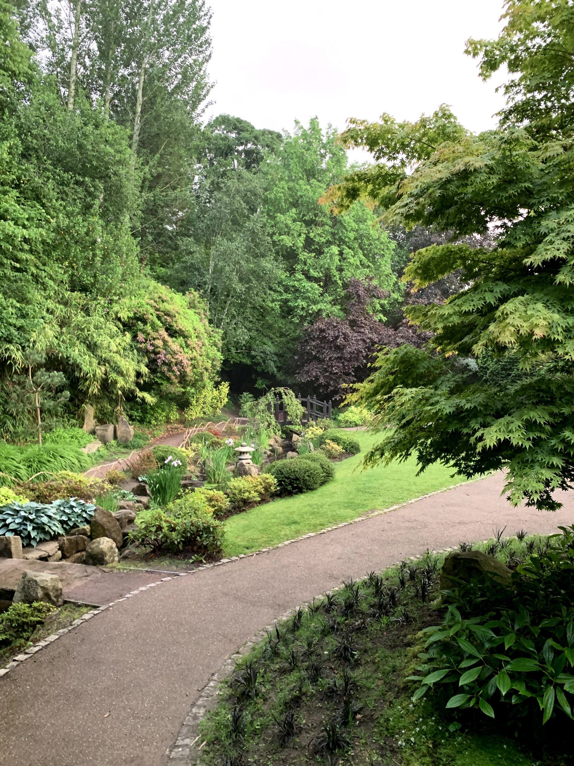 Exotic gardens at the Valley Gardens