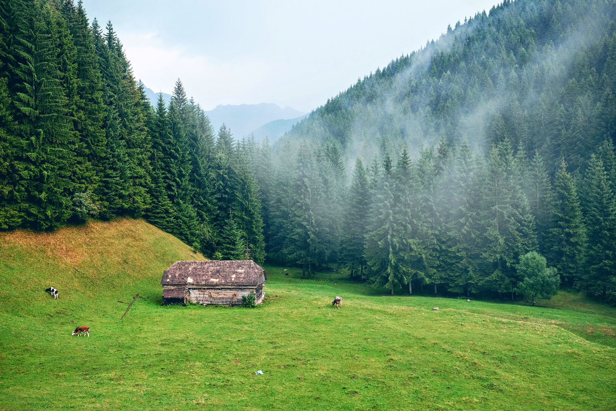 Romania Travel Guide - a beautiful little chalet in the mountains of Romania