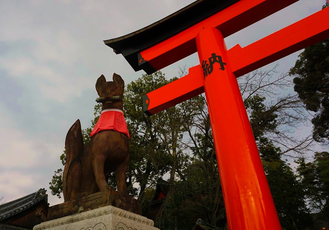 Fox Tori -Japan