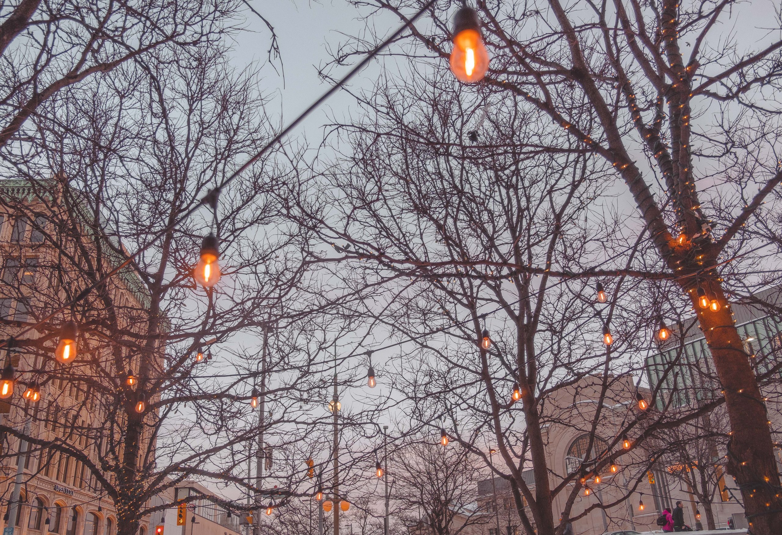 Fairy lights in Ottawa Centre