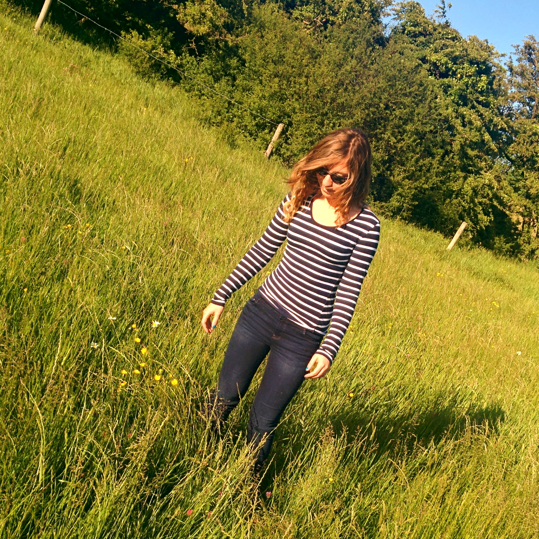grass fields bristol grass fields bristol