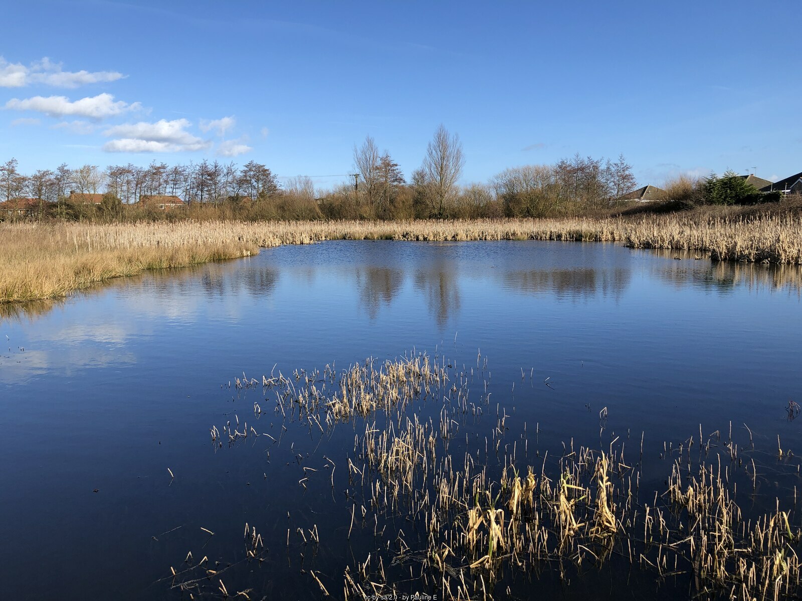 Filey Dams Nature Reserve