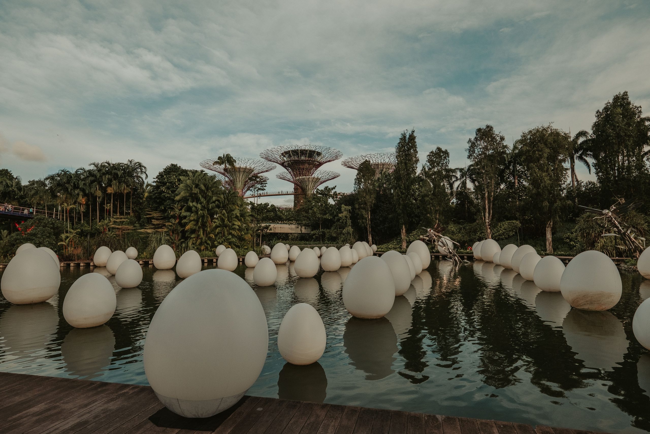 firefly lake gardens by the bay