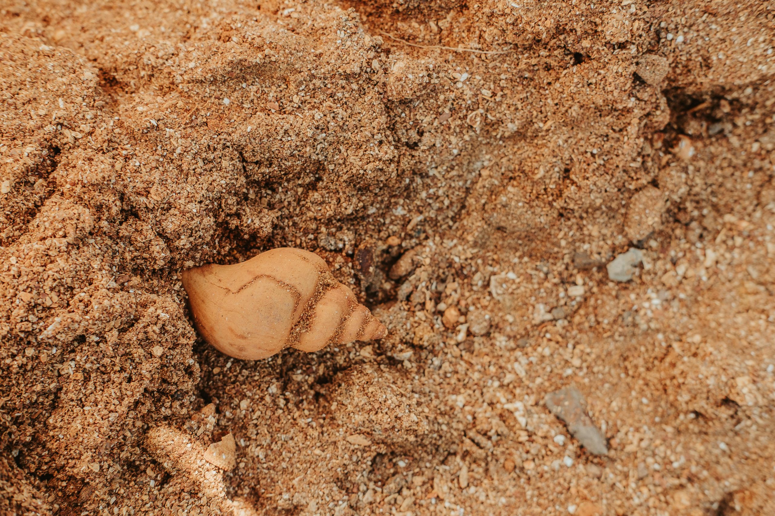 Fossil hunting in beautiful Essex