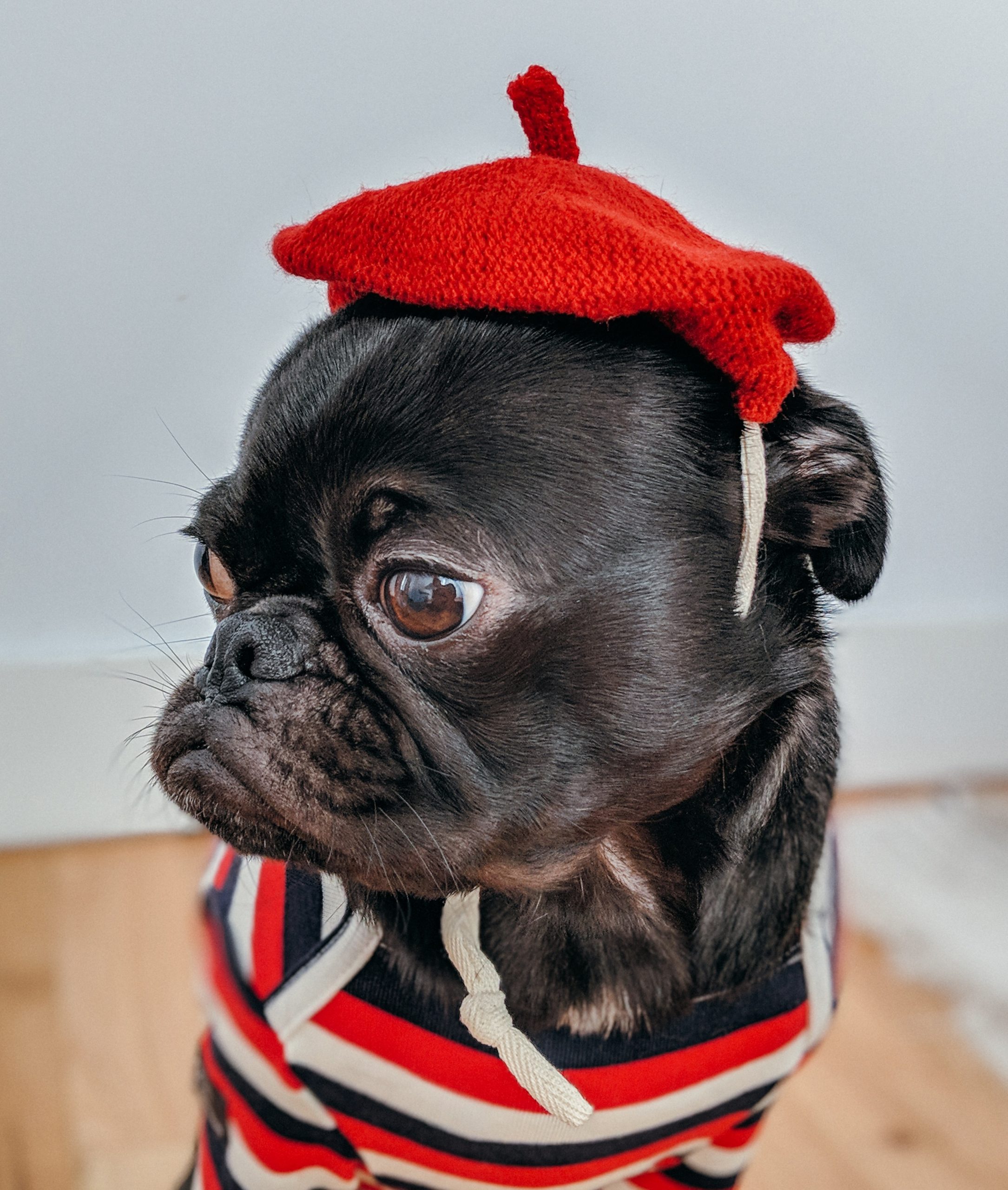 French souvenir clothes French souvenir clothes