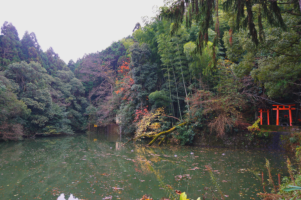 Fushimi Inari Taisha Lake