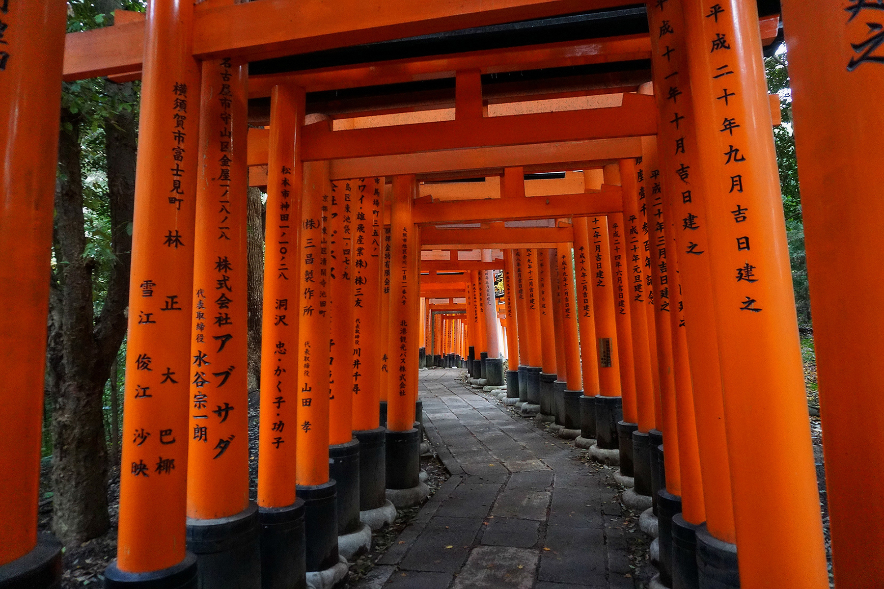Fushimi Inari Taisha Path