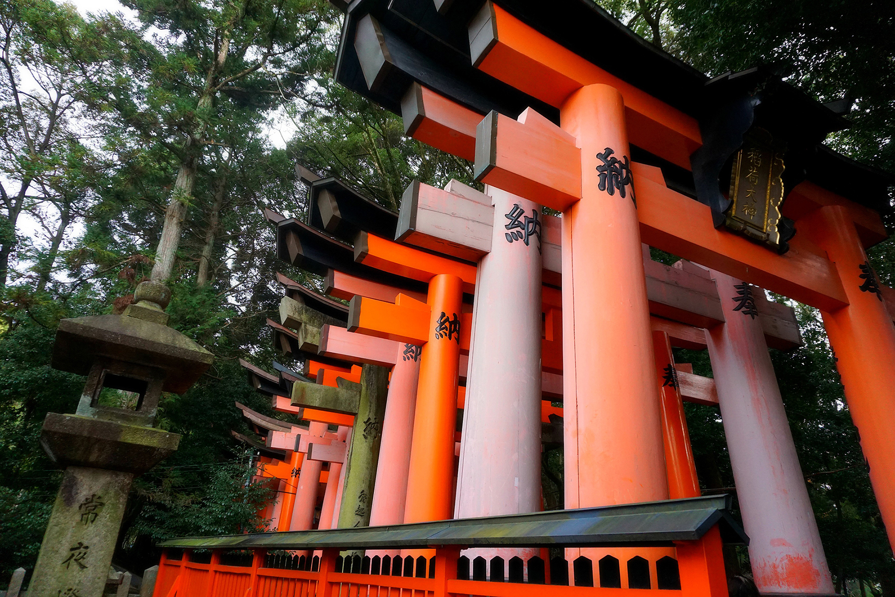 Fushimi Inari Taisha Torii Gates Forest