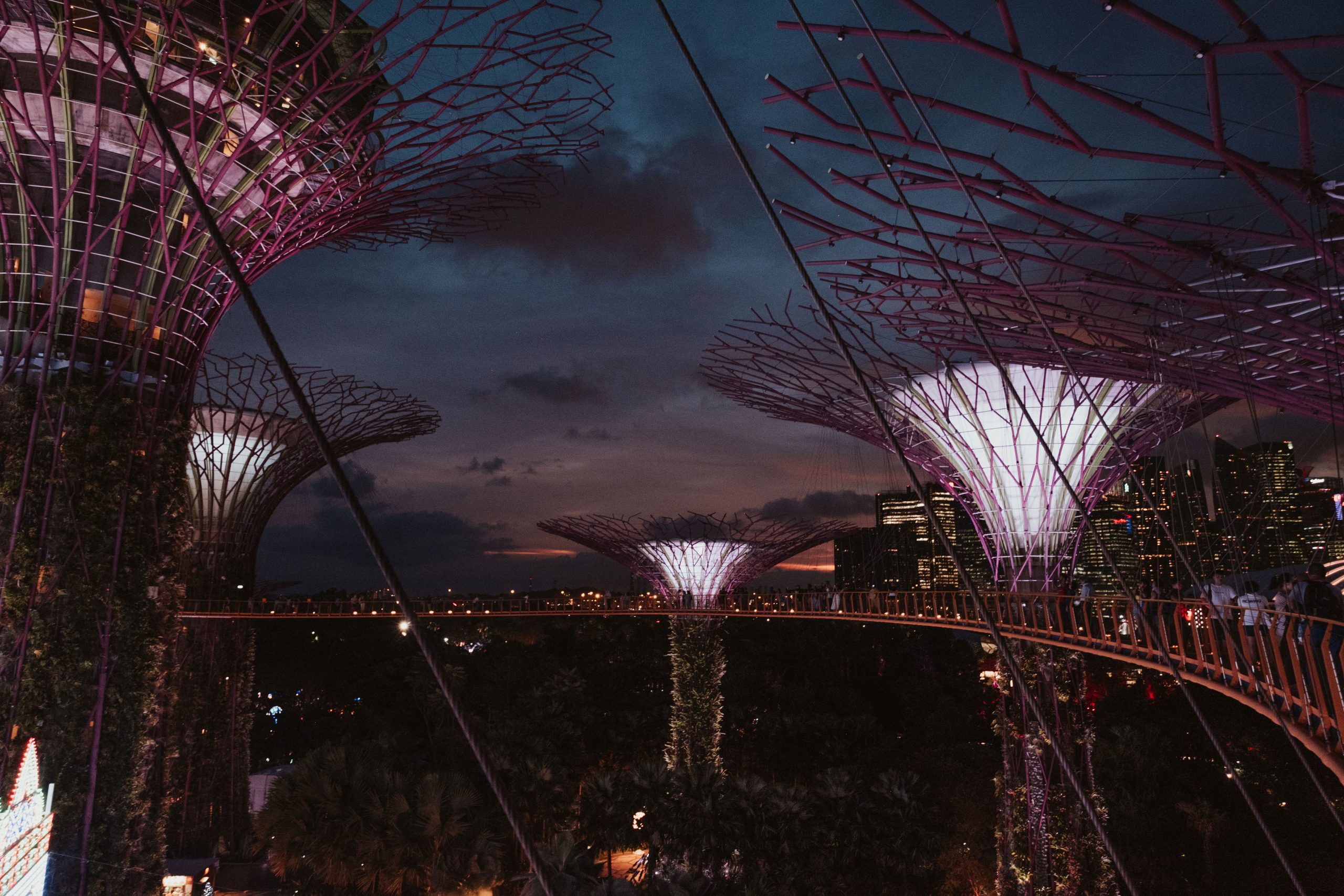 Gardens by the bay views Gardens by the bay views