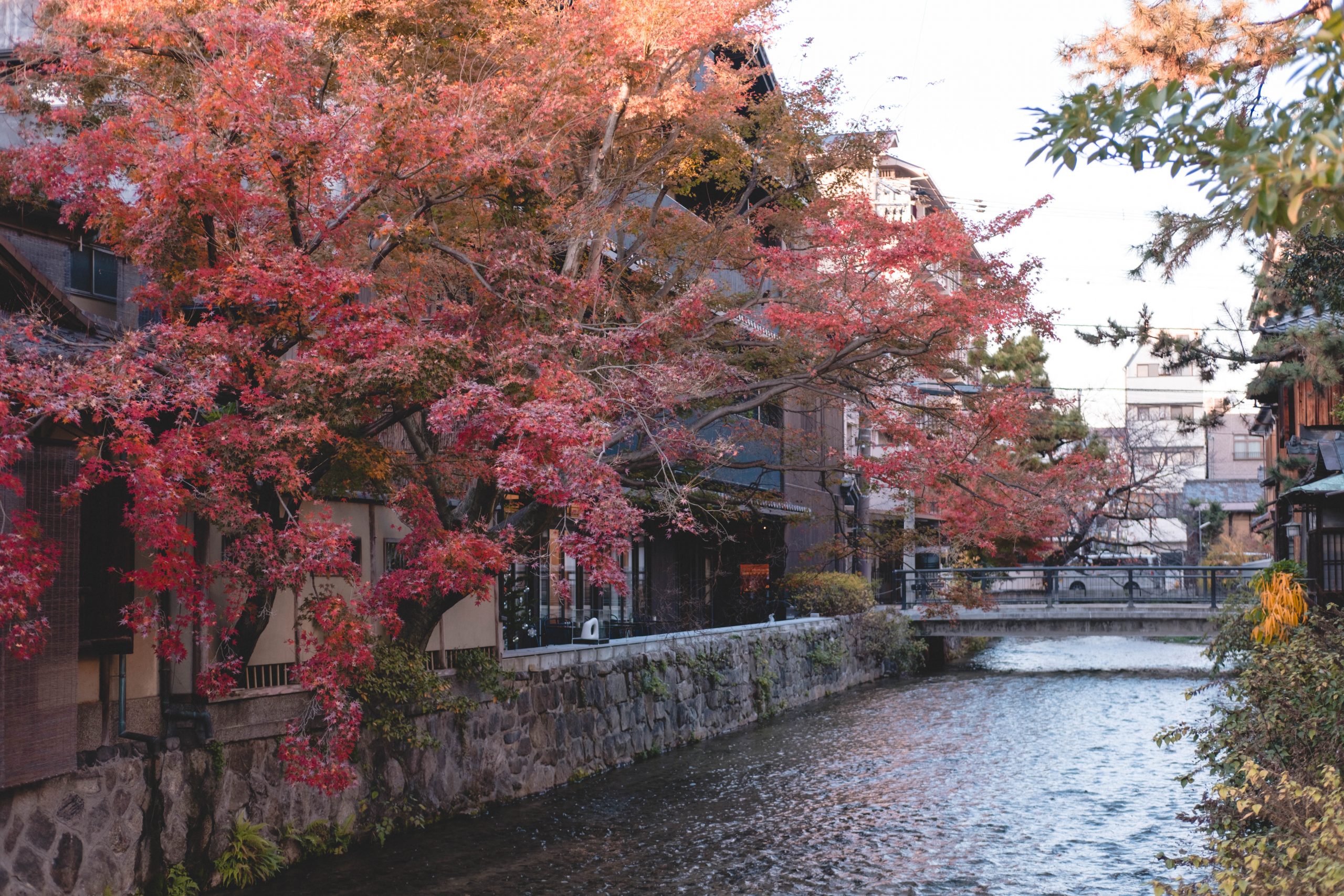 Gion area looking beautiful in Kyoto Gion area looking beautiful in Kyoto