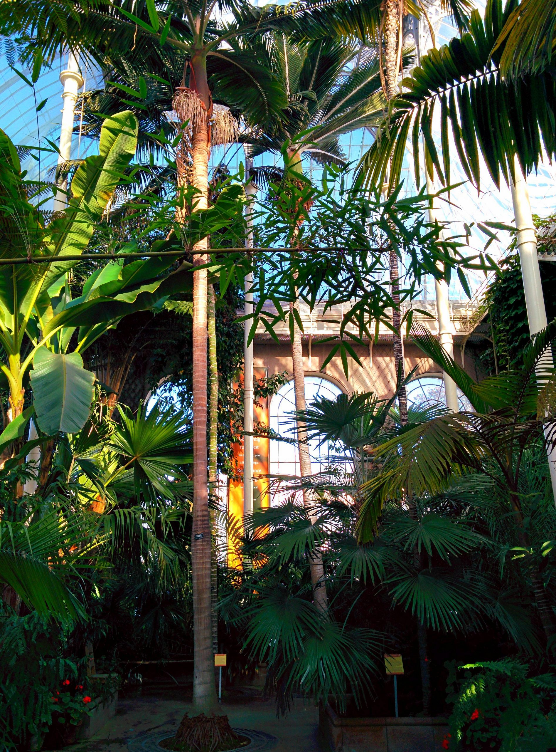 Glasshouse Royal Botanic Gardens Edinburgh