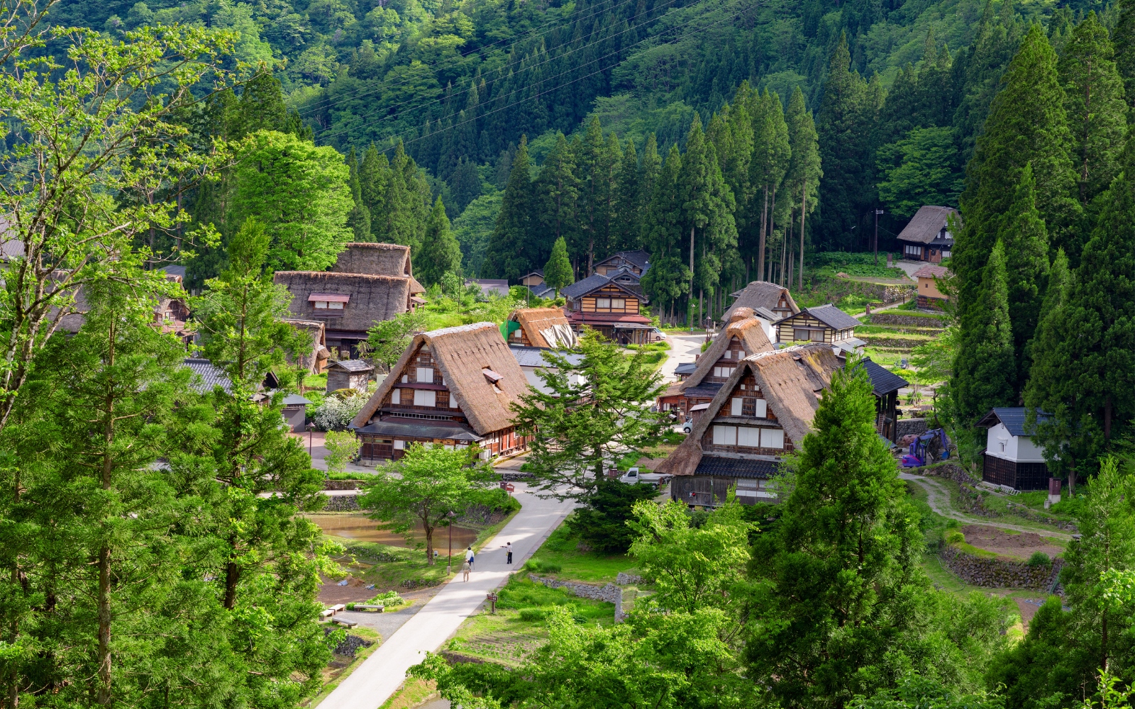 Traditional houses in Gokayama village